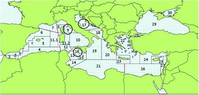 Key Economic Characteristics of Italian Trawl Fisheries and Management Challenges